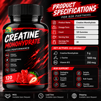 Créatine monohydrate en poudre, gommes à la créatine, vitamine 12, L-taurine, complément alimentaire pour le soutien de l'entraînement, logo personnalisé OEM
