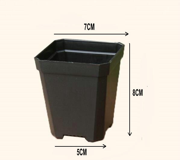 Negro 7cm