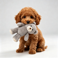 Peluche chien mignon tenant un petit ours, Golden Retriever, Corgi, Shiba, Husky, jouet en peluche pour enfants, cadeau