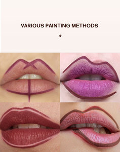 Crayons à lèvres minéraux longue tenue, haute pigmentation, effet mat naturel, certifiés CE, taille standard, marque privée OEM. - Product Image 2