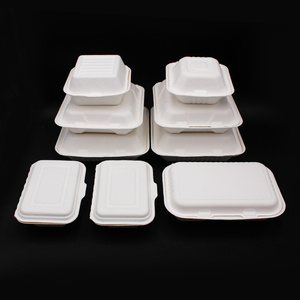 China Bagasse Tableware Trays Manufacturer Takeaway Boxes