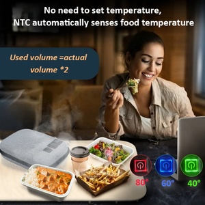 OEM <b>USB</b> Personal Portable Oven Reusable Leak-proof Hard Case Portable Food Warmer for Home Car School & Outdoor Gift Use - Product Image 3