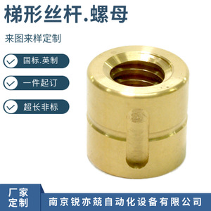 สกรูตะเข็บรูปสี่เหลี่ยมคางหมูพร้อมน็อตทองแดง Tr22x8 Tr22x10 สำหรับเครื่องมือกล ทำจากเหล็กกล้าไร้สนิม - Product Image 5
