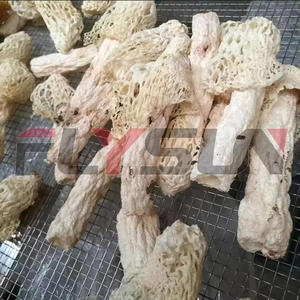 Mushroom <b>drying</b> <b>equipment</b> Industrial Mushroom <b>Drying</b> <b>Equipment</b> with PLC Control System for Dehydrating Fresh mushroom - Product Image 3