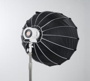 DENGWEI CRI97, lumière vidéo LED photographique portable à haute luminosité, contrôle par application, Tiktok <span class=keywords><strong>Youtube</strong></span>, 300 watts - Product Image 3