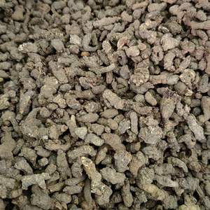 Tiankui Zi Mil años Mierda de rata cruda seca procesada por tipo de procesamiento de anuncios - Product Image 4