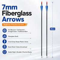 Flèches de chasse en fibre de verre plastique, équipement et accessoires de tir à l'arc de luxe pour sports de plein air et loisirs