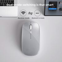 Souris sans fil rechargeable Bluetooth double mode, souris d'ordinateur silencieuse avec lumière RGB, 2.4G USB pour ordinateur portable, PC, bureau