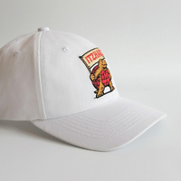 Casquette unisexe de sport non structurée réglable en jean imprimé animal avec broderie 3D, ajustée, pour l'extérieur, style hip-hop, tendance