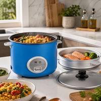Cuiseur à riz électrique 0,6L-2,8L avec commande mécanique, cuiseur vapeur en acier inoxydable et cuve intérieure antiadhésive, portable pour la maison