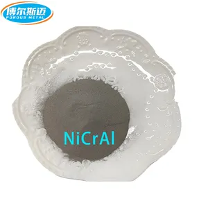 Transition Layer Powder Coating Powder NiCrAl/NiCrAlY Powder for Thermal spray