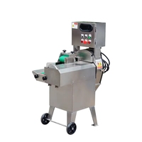 RVS gemotoriseerde 220V keuken snijmachine, voedselhakselaar, groente- en fruitsnijder, multifunctionele machine voor restaurantgebruik
