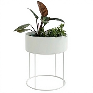 Pot de fleurs rond en métal avec support, revêtement blanc, résistant à la rouille, pour décoration de salon, support de plantes pour la maison - Product Image 1