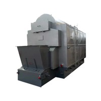 Chaudière à eau chaude à pression alimentée à la biomasse DZL 28000KW au meilleur prix pour l'impression textile, la teinture et l'habillement