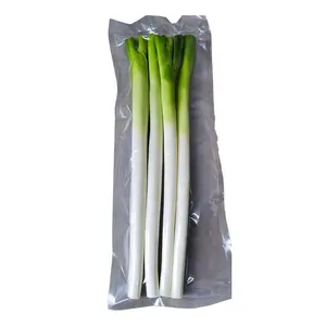 Wholesale Green Chinese Onion Vacuum Bag Long Spring Onions Cheap Price Fresh Scallion