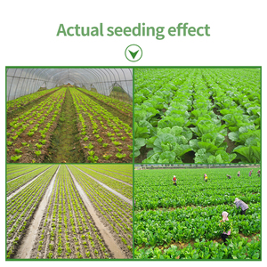 آلة بذر زراعة الخضروات بالجملة بذور البصل الفلفل الحار الذرة زارع الجزر - Product Image 5