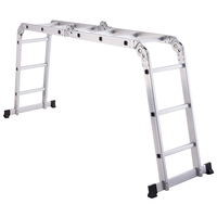 Tabourets d'échelle télescopiques en aluminium de style industriel à 12 marches, extensibles et modernes pour le stockage à l'intérieur et à l'extérieur.