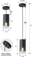 Luminaire suspendu à piles, luminaires de plafond noirs à piles avec ampoules rechargeables, 10 modes de couleur, télécommande à intensité variable