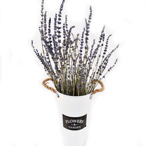 Material de Decoración para Jardín de Verano, Ramo de Flores Secas de Lavanda - Product Image 5