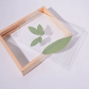 Vente en gros cadre <span class=keywords><strong>photo</strong></span> en <span class=keywords><strong>verre</strong></span> double face créatif cadre <span class=keywords><strong>de</strong></span> spécimen <span class=keywords><strong>de</strong></span> feuille d'affichage carré A4 design flottant en papier découpé pour usage domestique - Product Image 2