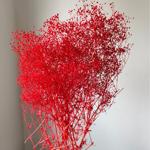 Novità 2022 Mini Gypsophila Elegans Fiori Freschi e Stabilizzati Bianchi e <span class=keywords><strong>Rosa</strong></span> per Matrimoni Festa della Mamma e Natale - Product Image 5