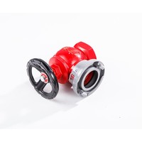 Extincteur à poudre sèche à porte unique en acier inoxydable Guangbo modèle 95 - Dispositif de protection incendie