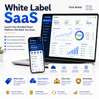 Desarrollo de Software SaaS de Marca Blanca con Desarrollo de Software en China para Plataformas Empresariales en la Nube