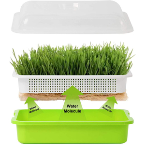 Plateaux <span class=keywords><strong>de</strong></span> culture hydroponique sans terre pour graines et <span class=keywords><strong>semis</strong></span>, bacs <span class=keywords><strong>de</strong></span> germination en plastique pour pépinière, jardin pour la maison et le bureau - Product Image 5