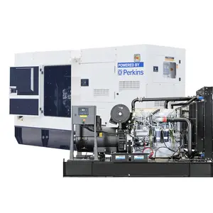 Made In China 250 Kva Silent Diesel Gensets 200kw Power Plants Electric Diesel Generator With Cummins/Perkins Engine