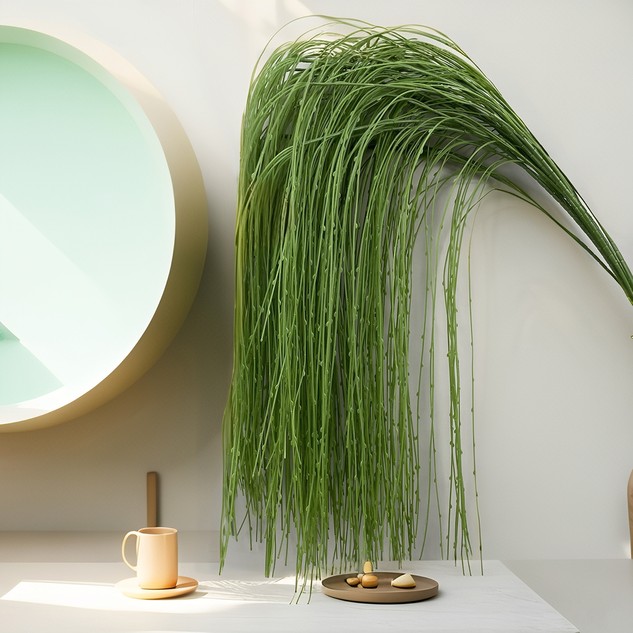 Brote de sauce colgante 145 cm