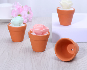 Mini pot à cactus en terre cuite avec trou de drainage, pots à succulentes en argile pour plantes d'intérieur et d'extérieur, pour une utilisation en jardin comme pot à fleurs - Product Image 4