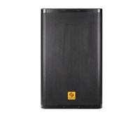 Vente chaude 2023 - PXH15-DM450A - Haut-parleur DJ actif professionnel de 15 pouces - Fabrication directe
