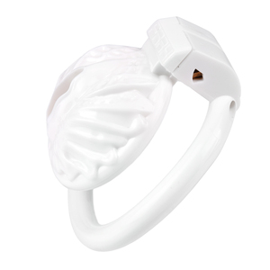 Mannelijke Ademende Safty <span class=keywords><strong>Penis</strong></span> Kuiskooi Set Hars Vogel Kuisheid Kooi Riem Cock Ring <span class=keywords><strong>Penis</strong></span> Lock Bondage <span class=keywords><strong>Slave</strong></span> Man Seksspeeltje - Product Image 2