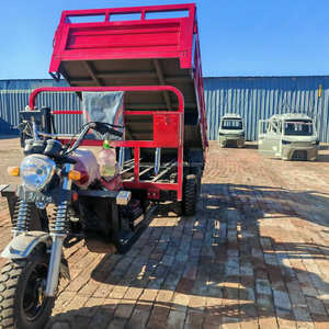 Tricycle Utilitaire à Benne 350cc, Moto Tricycle de Chargement à 9 Roues pour le Fret avec Double Essieu Arrière - Product Image 2