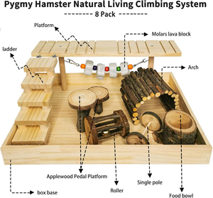 Plateforme d'activités en bois naturel pour hamsters et gerbilles, système <span class=keywords><strong>de</strong></span> gymnastique pour souris, accessoires <span class=keywords><strong>de</strong></span> cage d'exercice pour hamsters syriens - Product Image 3