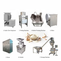 Meilleures ventes : Machine industrielle de fabrication de poudre d'ail, équipement de production de poudre d'ail