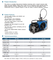 Compresseur d'air pour plongée sous-marine YiBang 2,2 kW 3 CV 100 L/min 30 MPa 300 bars 4500 psi 2300 tr/min monophasé 220 V 50 Hz à piston 3 étages
