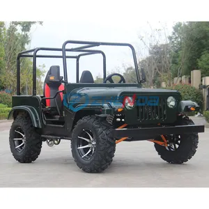 250 CC beach rental and sale adult ATV off-road vehicle amusement park facilities off-road vehicle