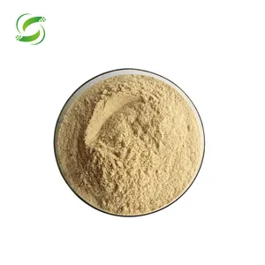 Kangze Supply 4773-96-0 estratto di foglie di Mango naturale in polvere 95% 98% mangiferina