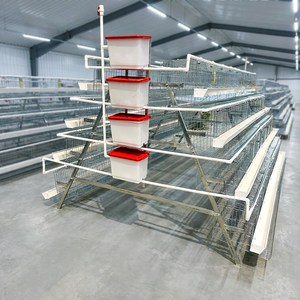 Oferta Especial: Jaulas para Gallinas Ponedoras <span class=keywords><strong>de</strong></span> 3/4 Niveles Tipo Batería Galvanizadas para Granjas Avícolas <span class=keywords><strong>de</strong></span> 1000 Gallinas, <span class=keywords><strong>de</strong></span> Camerún - Product Image 2
