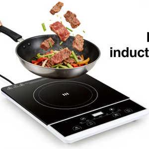 Cuisinière à induction portable 2000W à brûleur unique, boîtier en acier inoxydable avec fonction friture et fondue pour usage domestique - Product Image 1