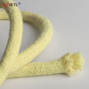 10mm 12mm 16mm 18mm Aramide Kevlars Mèche Corde Ignifuge Ignifuge Résistant Au Feu Aramide Corde pour Jugging Fire Flow Show POI - Product Image 2