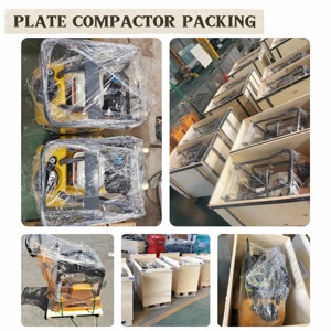 Desain baru 160kg pemadat pelat bolak-balik <span class=keywords><strong>30KN</strong></span> sentrifugal pelat bensin mesin pemadat untuk dijual - Product Image 3