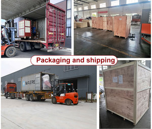 Thương hiệu nổi tiếng acce lốp băm nhỏ Máy giấy <span class=keywords><strong>Shredder</strong></span> máy đôi trục <span class=keywords><strong>Shredder</strong></span> - Product Image 6