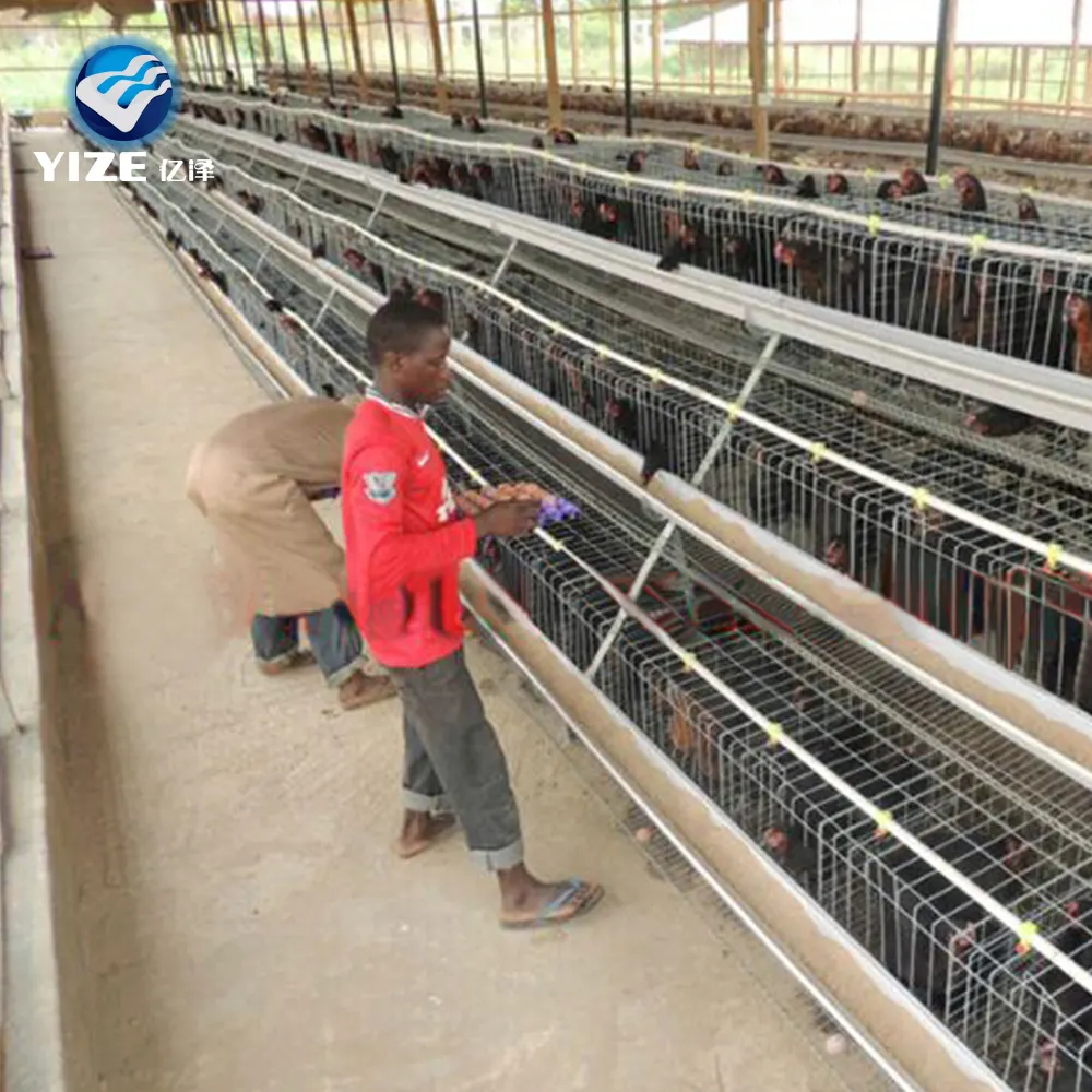 Jaula de tipo A para pollos, diseño automático de granja avícola, para granjas de gran escala de Zimbabue