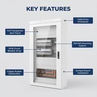Wanbo-206 - Caja de Distribución de Superficie Transparente con Puerta, Interruptores MCB, Barra Colectora de Cobre, Riel DIN, Estándar IEC, OEM Personalizado