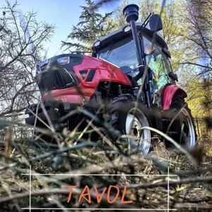 TAVOL 25HP 30HP 40HP 50HP 60HP 70HP precio tractor proveedor tractor máquinas agrícolas - Product Image 3