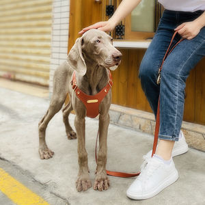 정품 가죽 조정 가능한 재고 도매 맞춤형 서양 스타일 편안한 소형 및 대형 개 하네스 및 가죽 끈 세트 - Product Image 4