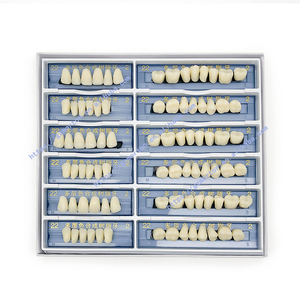 Dientes de Resina Disponibles para Laboratorio Dental OEM Productos de Higiene Bucal Multipropósito Resina Acrílica para Dentaduras con Efecto <span class=keywords><strong>Blanqueador</strong></span> - Product Image 5