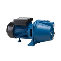 110 220 Volt Ferme Irrigation JET-100S Eau Haute Puissance Pompe Moteur Électrique 1Hp Usage Domestique JET Pompes Auto-Amorçantes